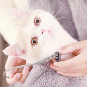 Pet Backpack for Dogs and Cats - Plush Dual Shoulder Bag