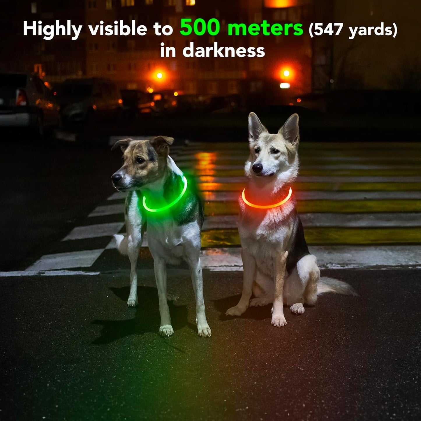 Light up Dog Collars - Waterproof LED Puppy Collar Rechargeable, High Visibility Glowing Dog Lights for Night Walking (Orange)