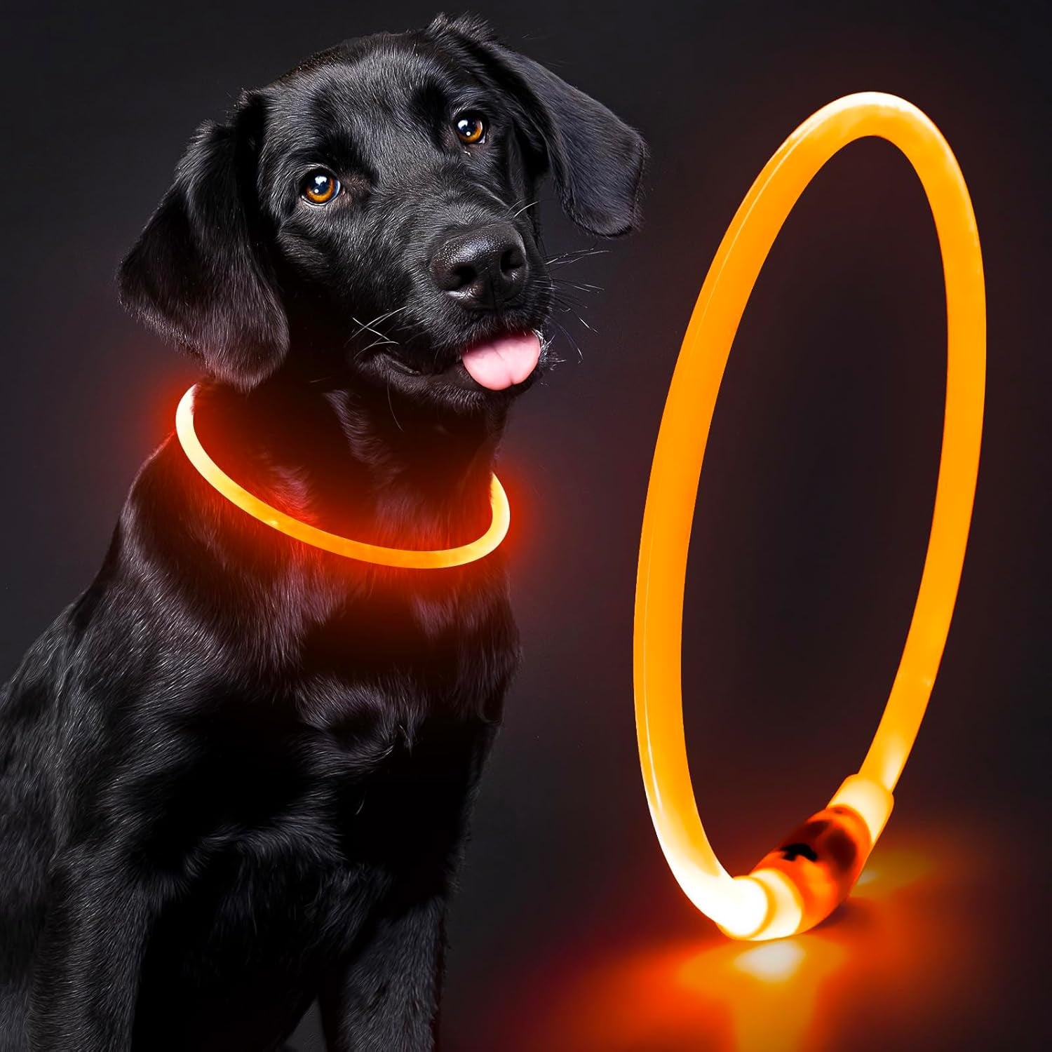 Light up Dog Collars - Waterproof LED Puppy Collar Rechargeable, High Visibility Glowing Dog Lights for Night Walking (Orange)