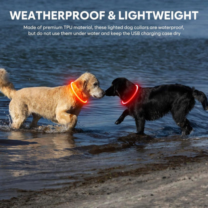 Light up Dog Collars - Waterproof LED Puppy Collar Rechargeable, High Visibility Glowing Dog Lights for Night Walking (Orange)