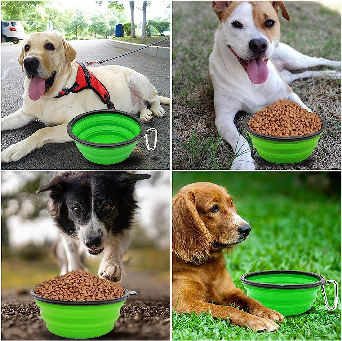 Collapsible Dog Bowl Portable Foldable Dog Travel Bowls Pets Cats Puppies Water Feeding Bowls for Walking Camping Outdoors (Large, Green)